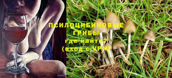 прущие крисы Алексин
