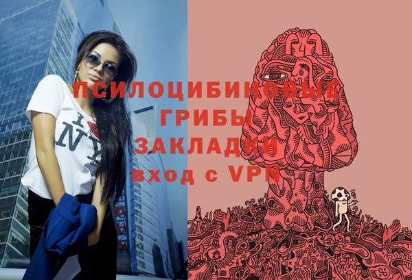 прущие крисы Алексин