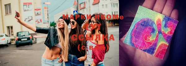 гашик Новодвинск